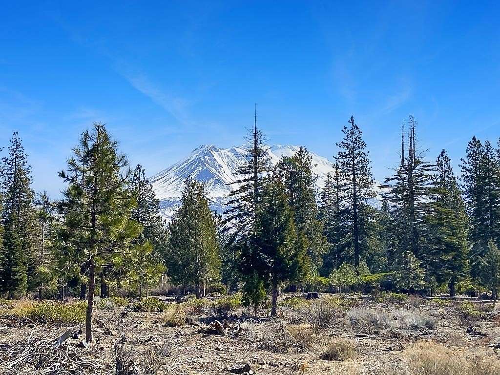 2.52 Acres of Residential Land for Sale in Weed, California