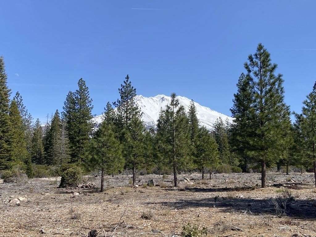 10 Acres of Land for Sale in Weed, California
