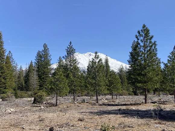 10 Acres of Land for Sale in Weed, California