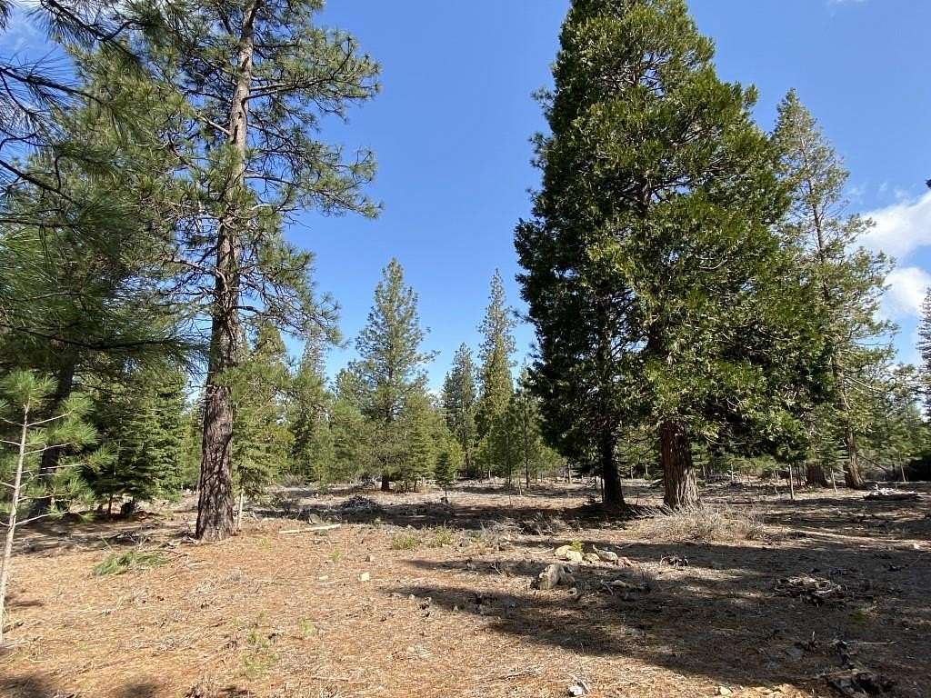 2.5 Acres of Residential Land for Sale in Weed, California