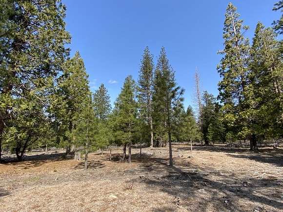 2.5 Acres of Residential Land for Sale in Weed, California