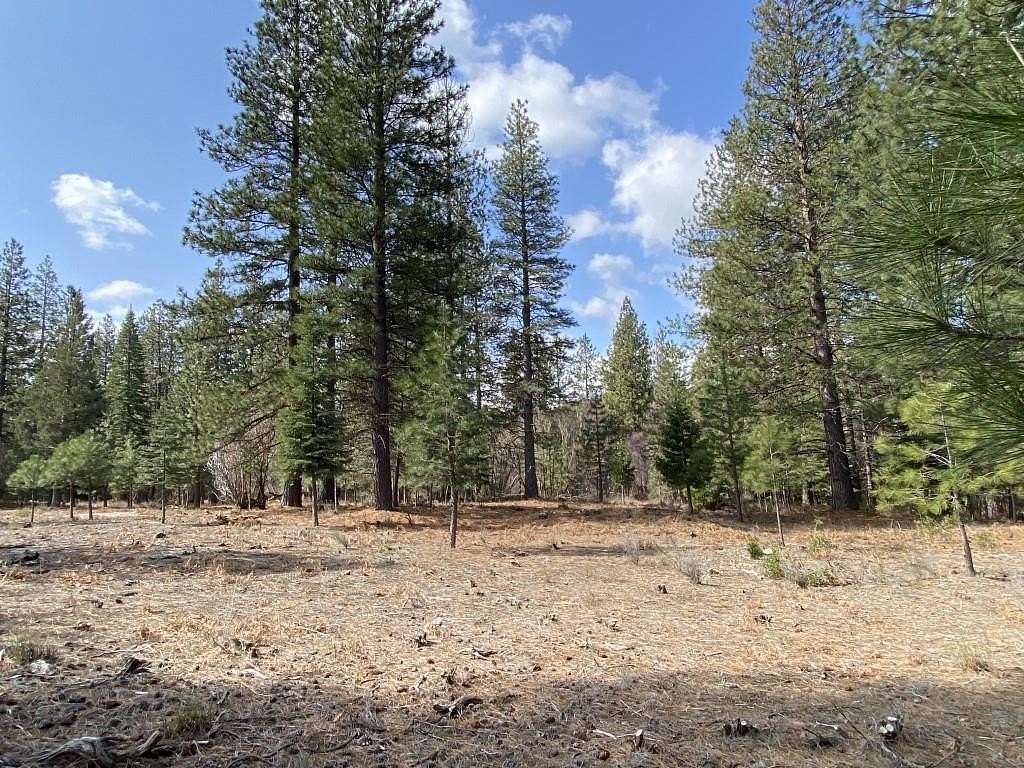 4.83 Acres of Residential Land for Sale in Weed, California