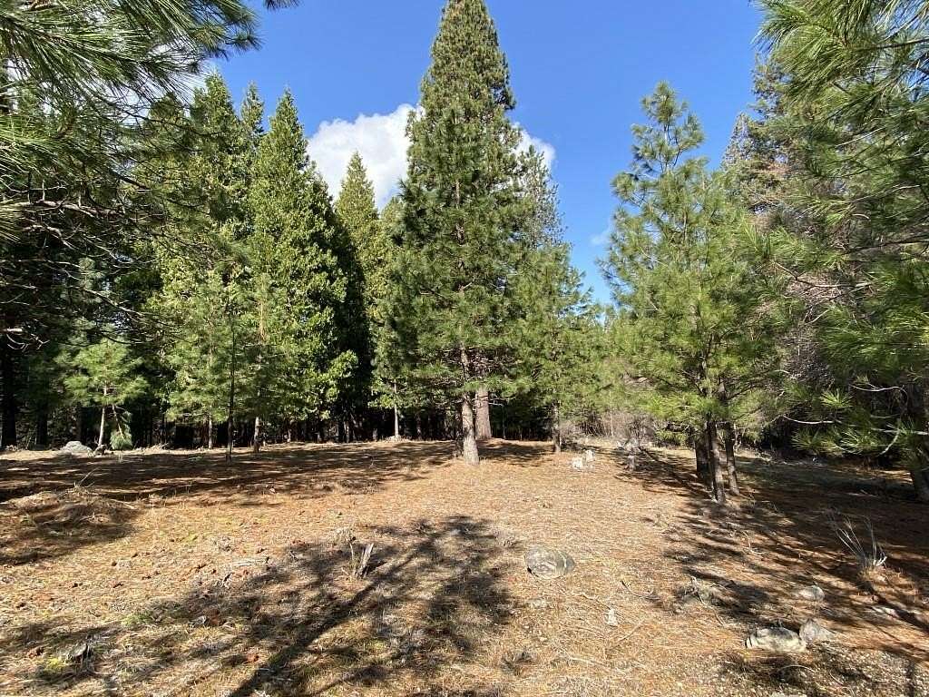 2.79 Acres of Residential Land for Sale in Weed, California