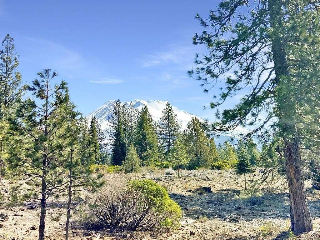 2.53 Acres of Residential Land for Sale in Weed, California