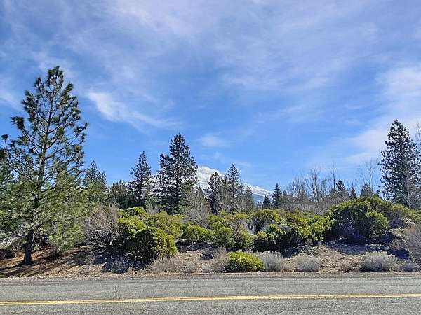 5 Acres of Residential Land for Sale in Weed, California