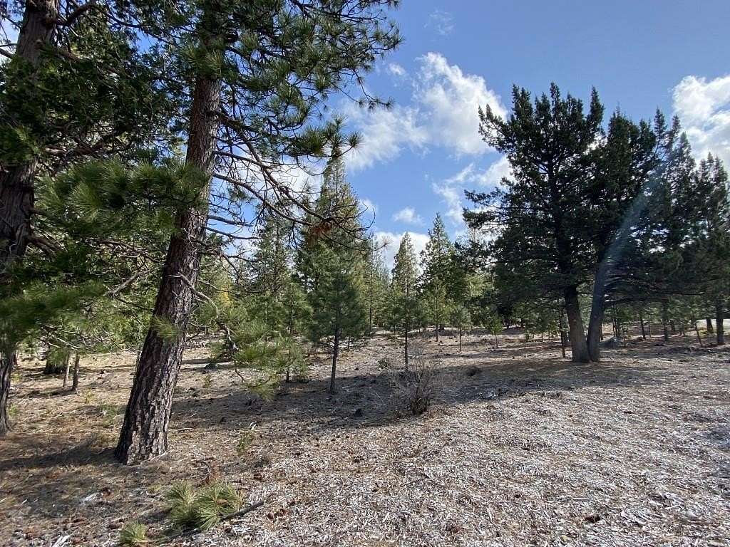 2.5 Acres of Residential Land for Sale in Weed, California
