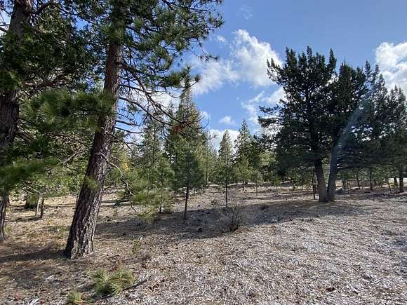 2.5 Acres of Residential Land for Sale in Weed, California