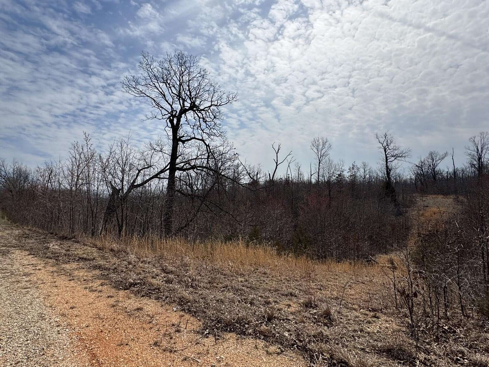 11.1 Acres of Land for Sale in Tunas, Missouri