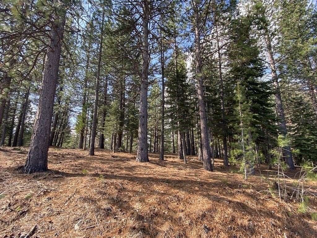 2.5 Acres of Residential Land for Sale in Weed, California