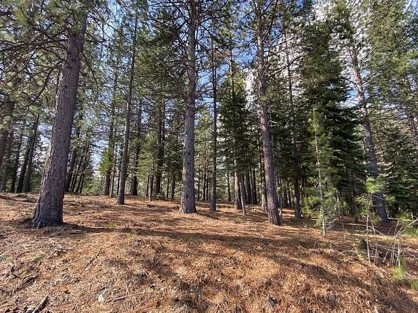 2.5 Acres of Residential Land for Sale in Weed, California