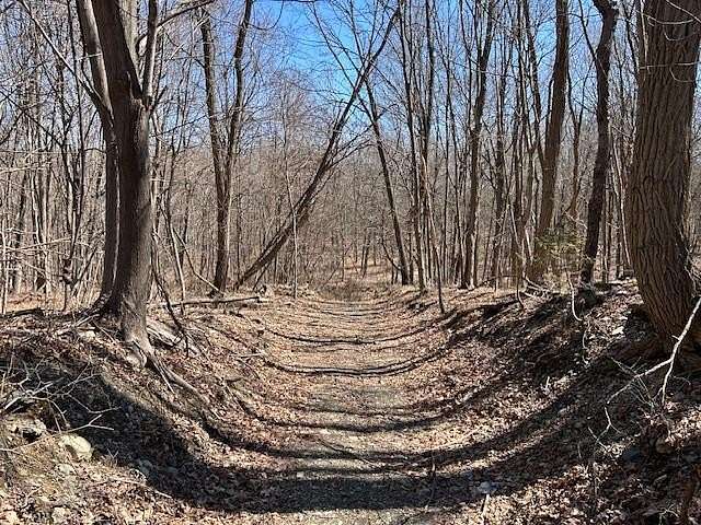 40 Acres of Recreational & Residential Land for Sale in Newburgh, New York