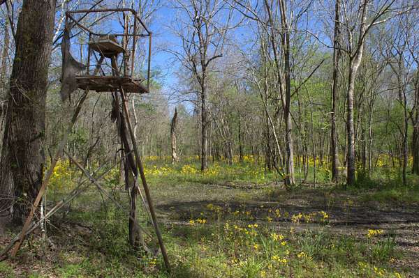 15 Acres of Recreational Land & Farm for Sale in Breaux Bridge, Louisiana