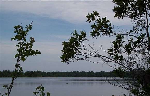 2.45 Acres of Residential Land for Sale in Naylor, Georgia