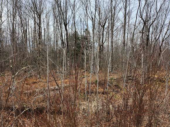 7.4 Acres of Residential Land for Sale in Palmyra, Maine