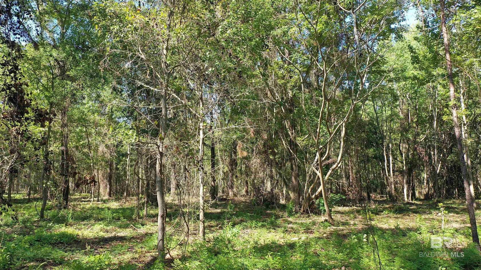 2 Acres of Residential Land for Sale in Atmore, Alabama