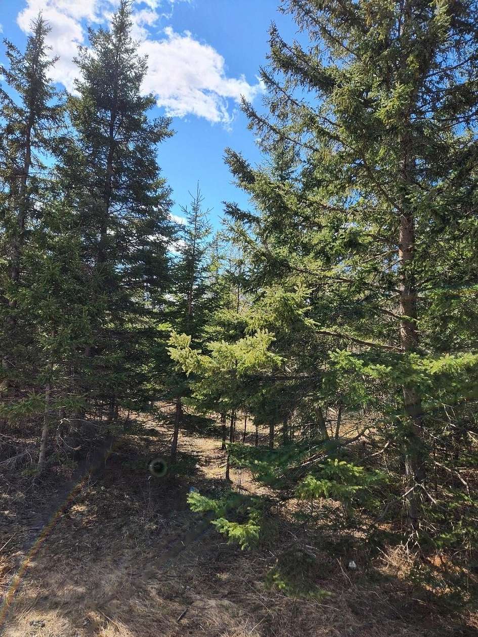 46.6 Acres of Recreational Land for Sale in Boyne Falls, Michigan