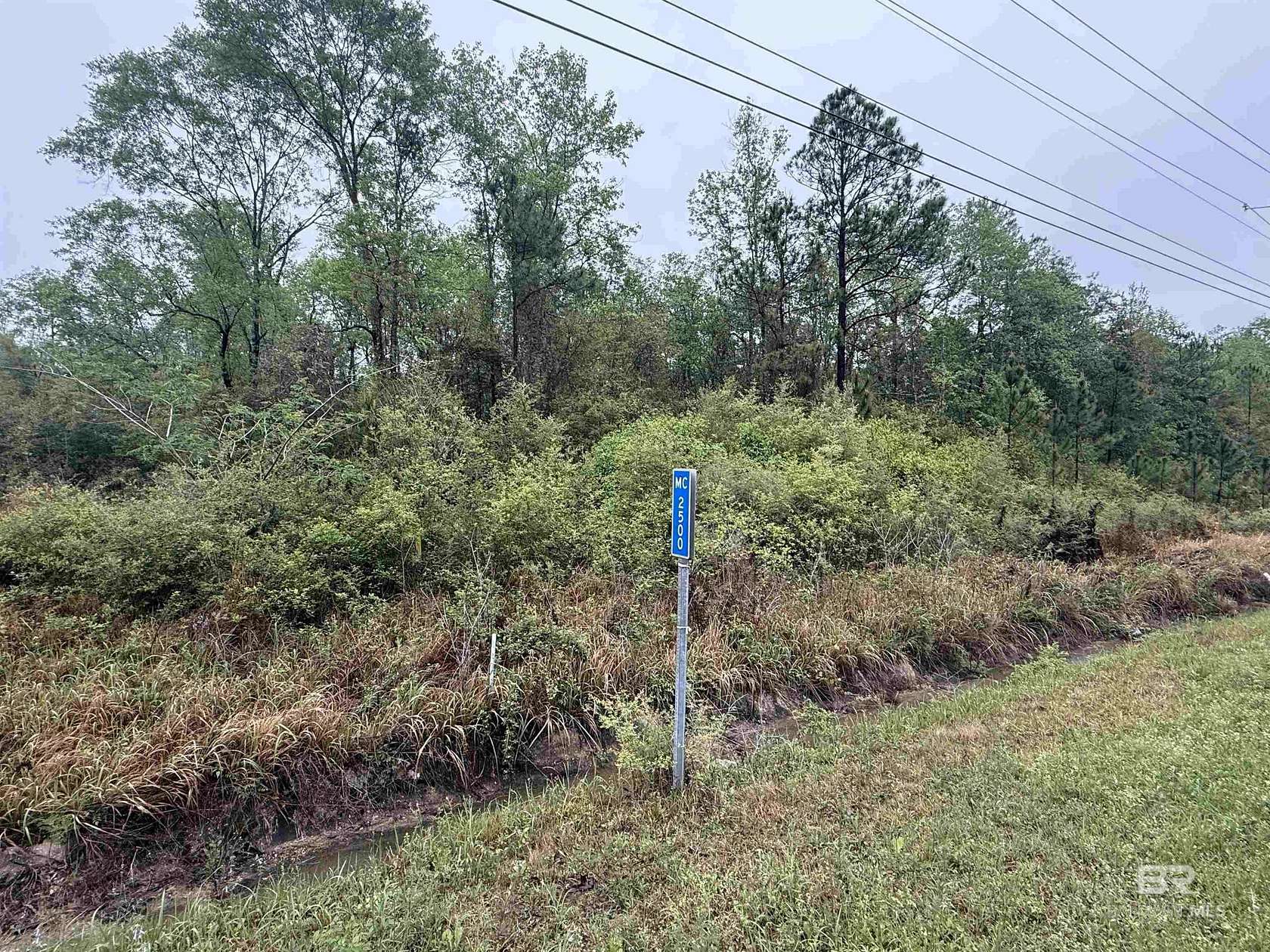 18.3 Acres of Land for Sale in Saraland, Alabama