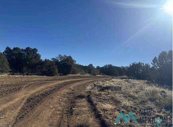 320 Acres of Land for Sale in Los Montoyas, New Mexico