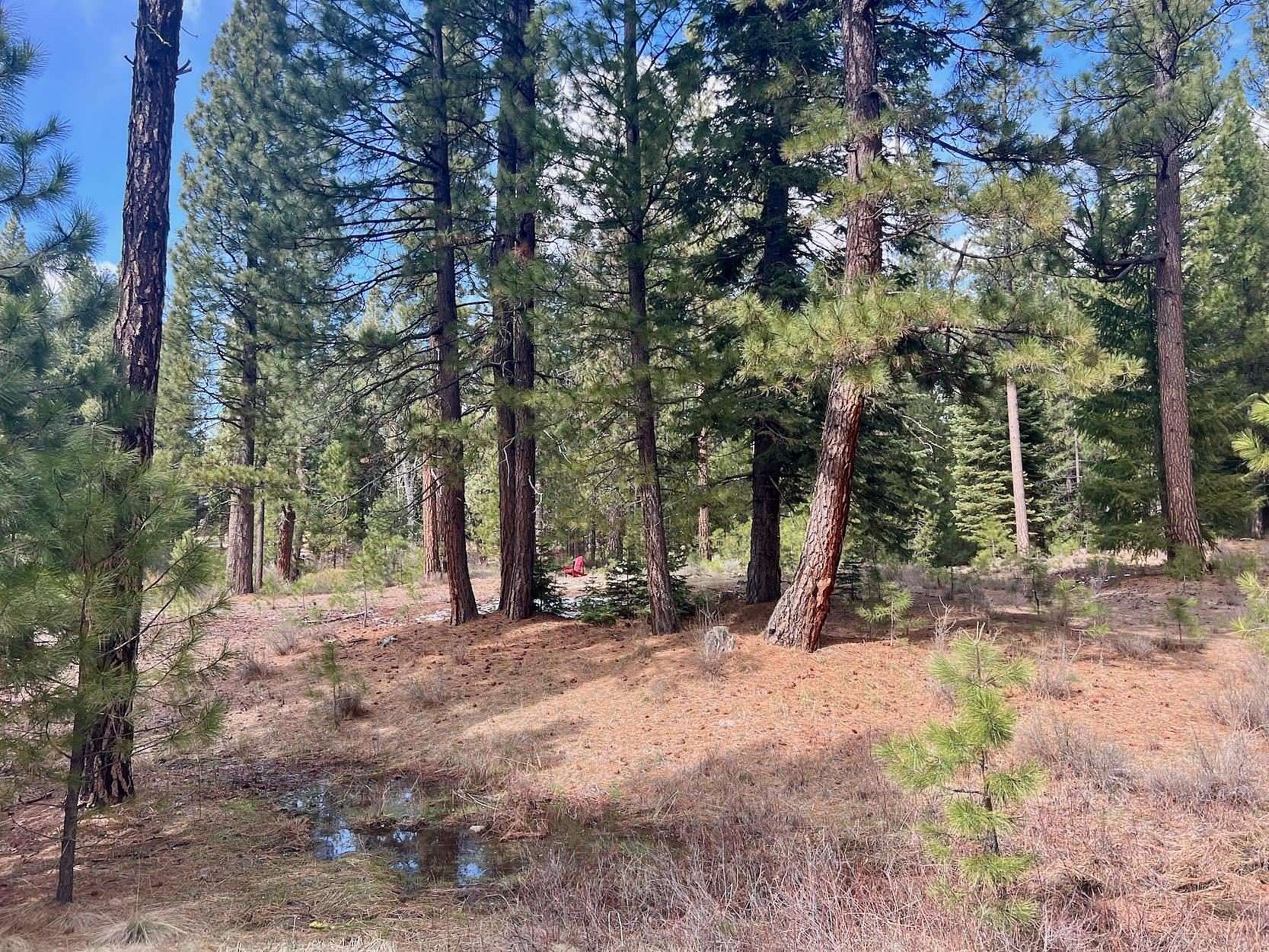 0.65 Acres of Residential Land for Sale in Clio, California