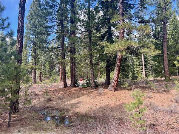 0.65 Acres of Residential Land for Sale in Clio, California
