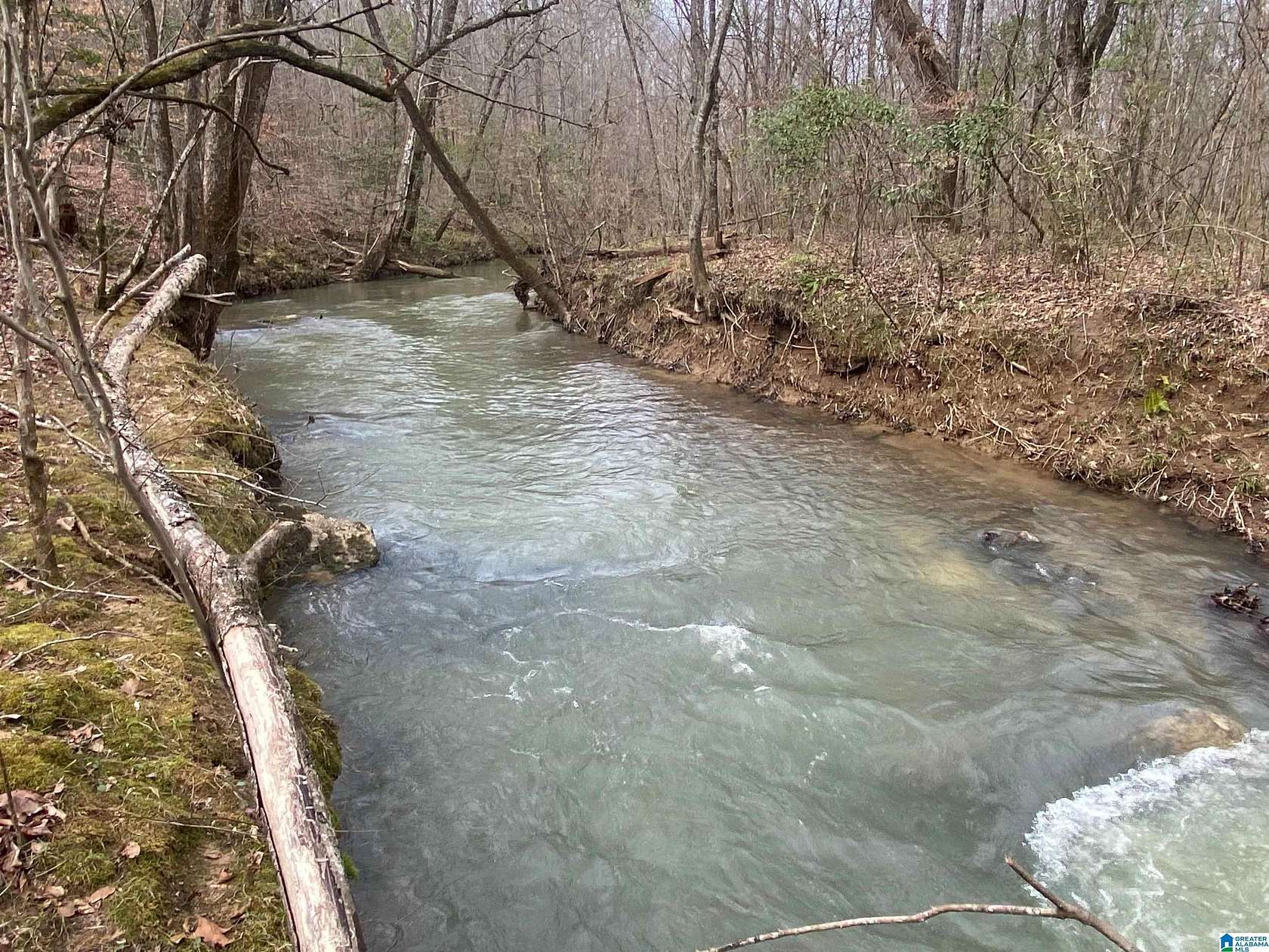 29 Acres of Recreational Land & Farm for Sale in Ashville, Alabama