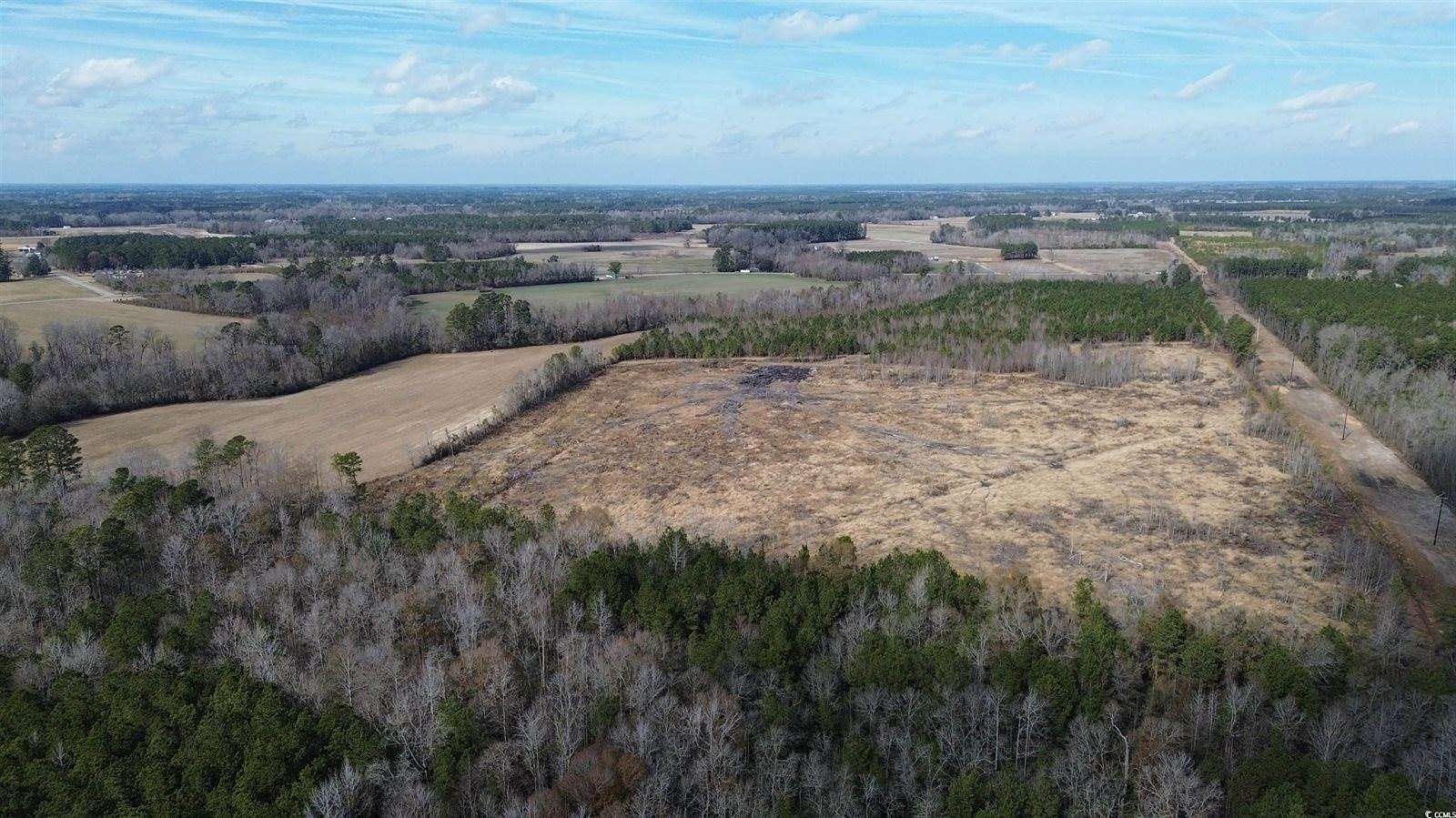 20 Acres of Land for Sale in Green Sea, South Carolina