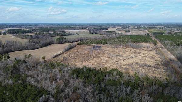 20 Acres of Land for Sale in Green Sea, South Carolina