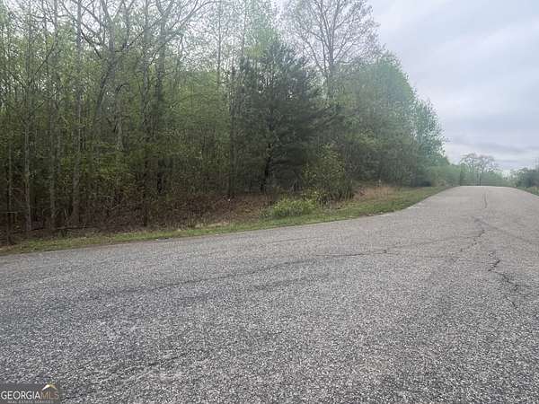 29 Acres of Recreational Land for Sale in Gainesville, Georgia