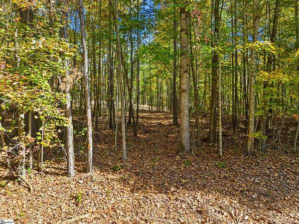 15.6 Acres of Land for Sale in Salem, South Carolina