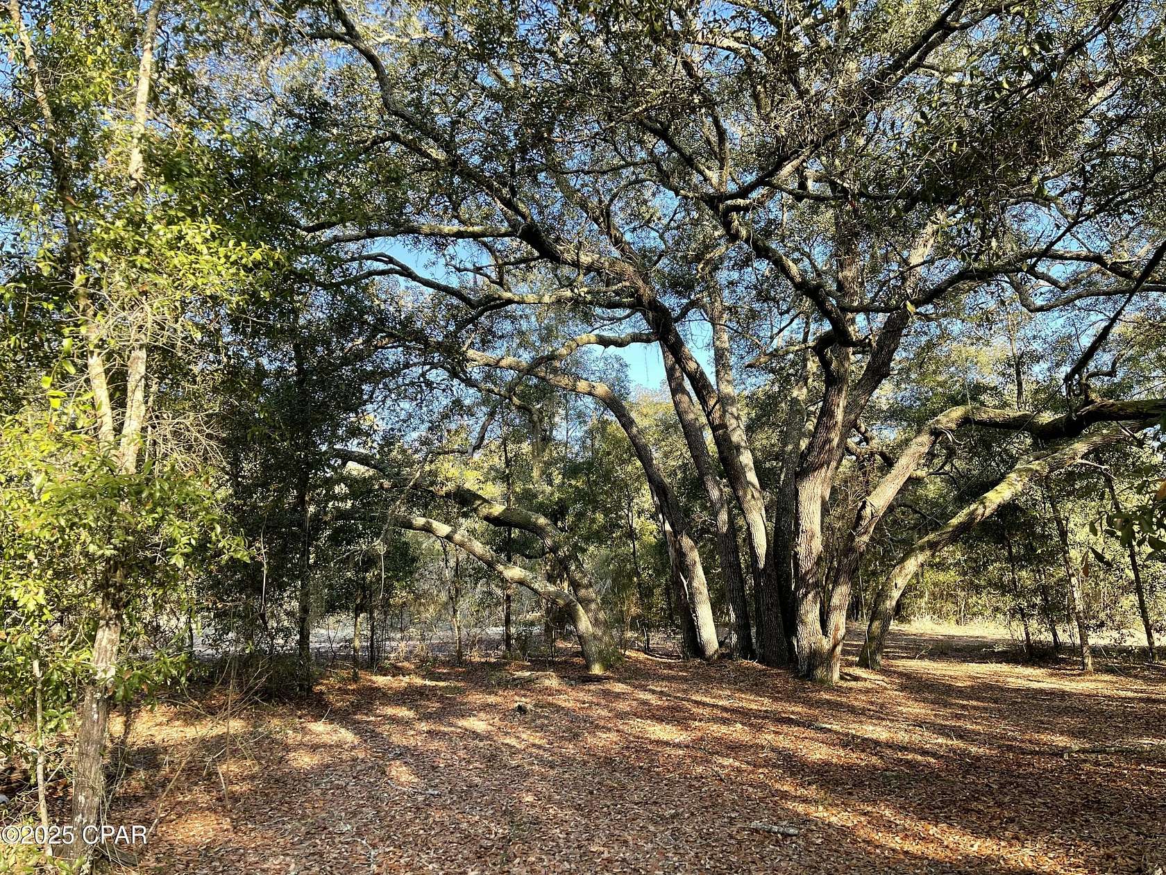 150 Acres of Land for Sale in Chipley, Florida