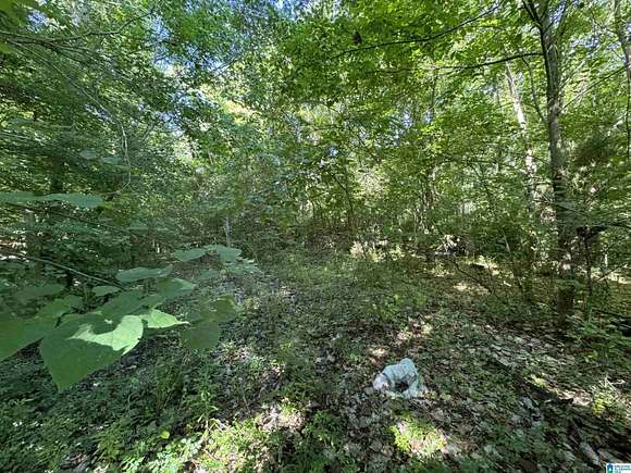 1 Acre of Land for Sale in Selma, Alabama