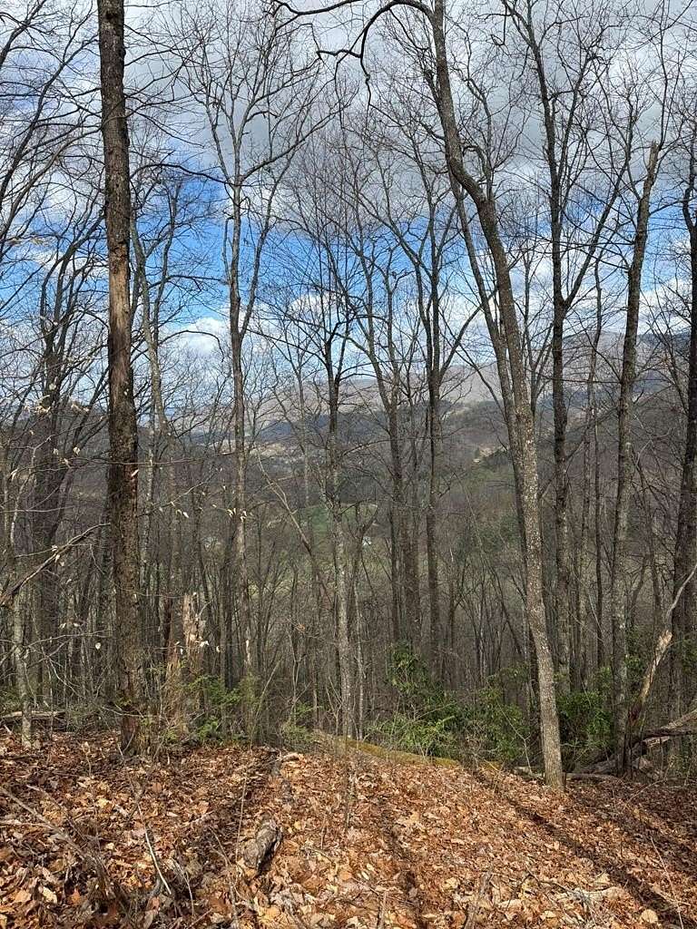 12.8 Acres of Land for Sale in Sylva, North Carolina