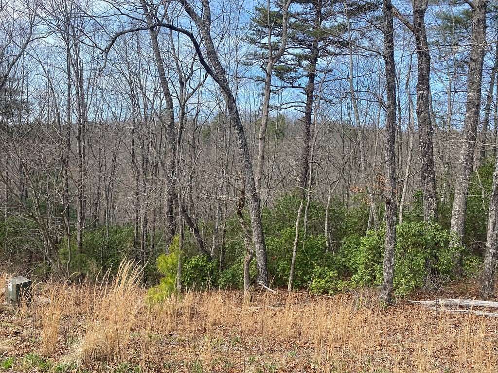 Residential Land for Sale in Hayesville, North Carolina