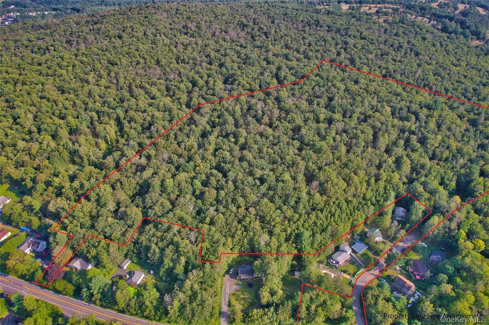 23.9 Acres of Land for Sale in Swan Lake, New York
