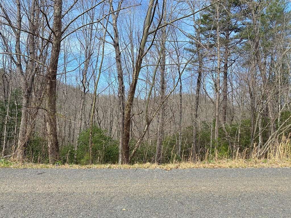 Residential Land for Sale in Hayesville, North Carolina