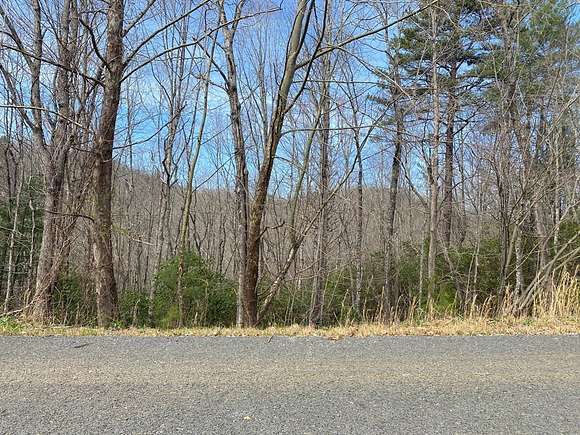 Residential Land for Sale in Hayesville, North Carolina