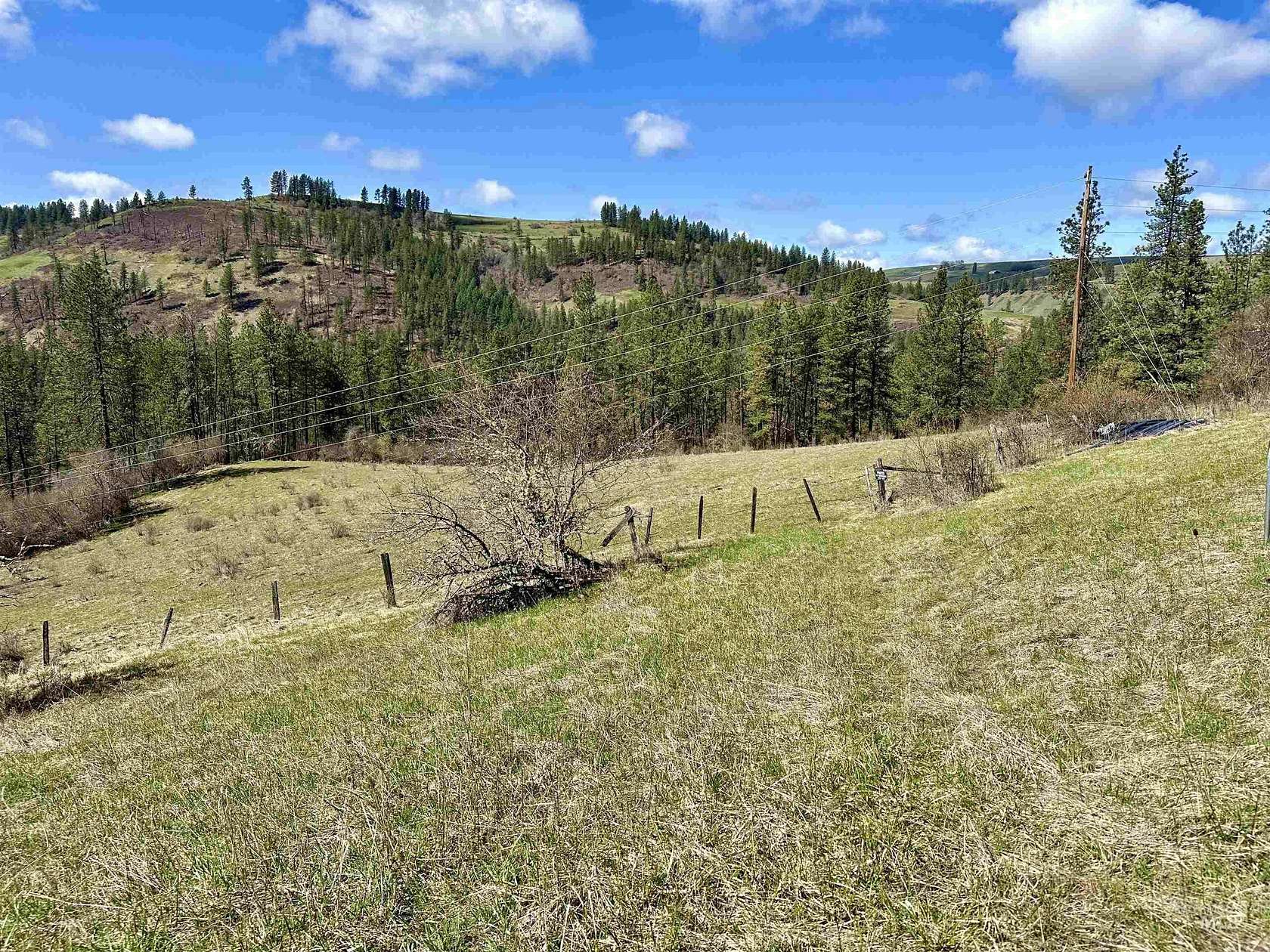 33.5 Acres of Agricultural Land for Sale in Harpster, Idaho