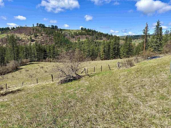 33.5 Acres of Agricultural Land for Sale in Harpster, Idaho