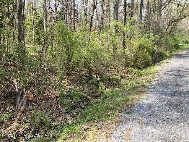 0.51 Acres of Residential Land for Sale in Alexander City, Alabama