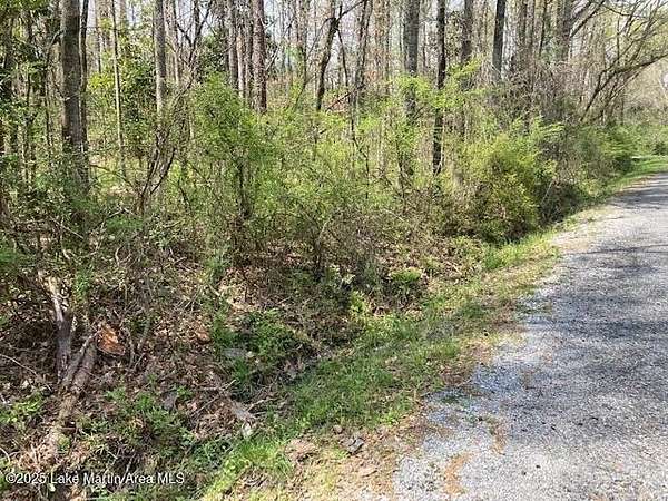 0.51 Acres of Residential Land for Sale in Alexander City, Alabama