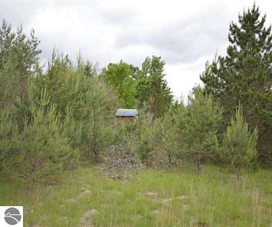 40 Acres of Land for Sale in Manton, Michigan