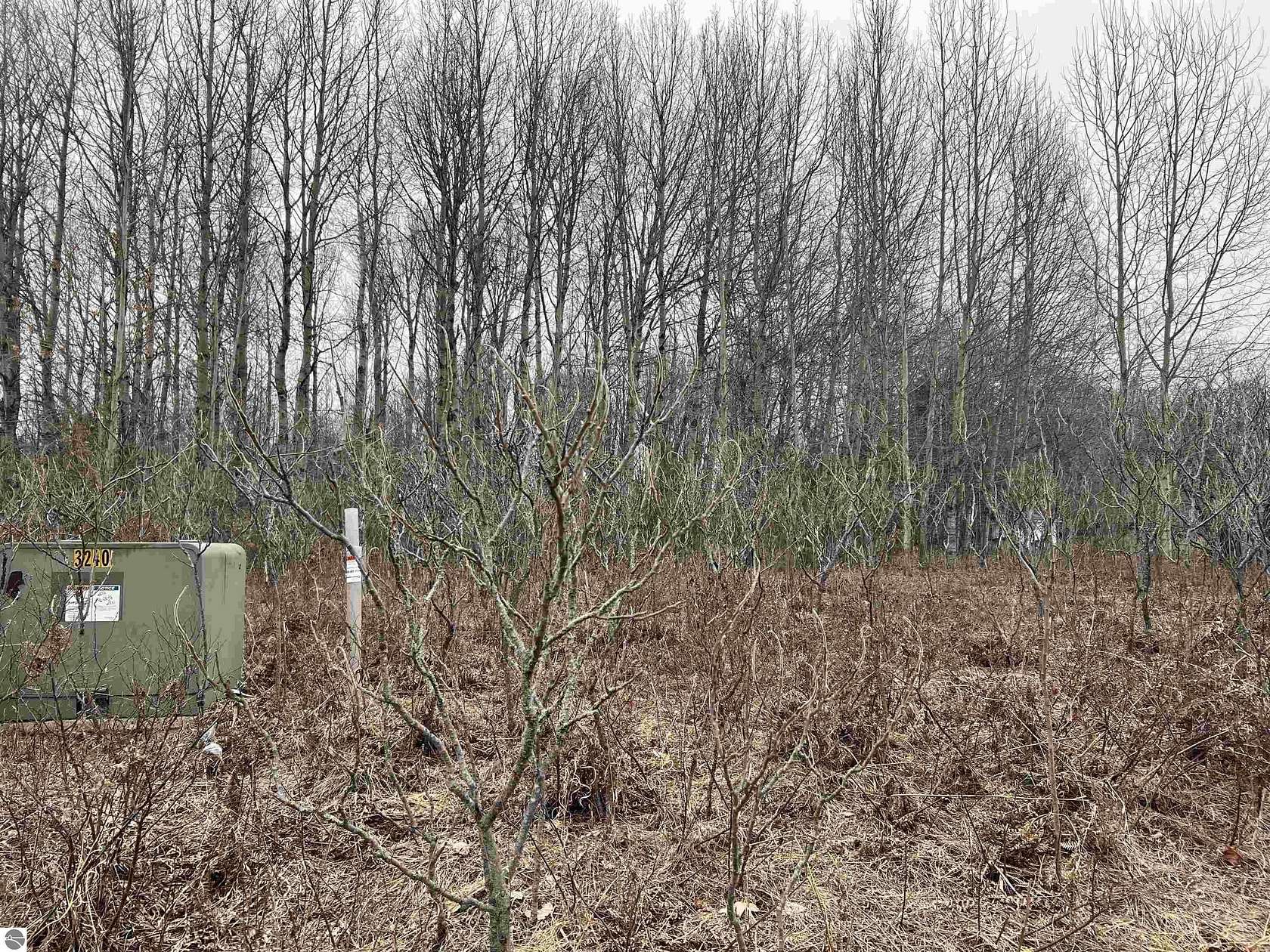 0.96 Acres of Residential Land for Sale in Cadillac, Michigan