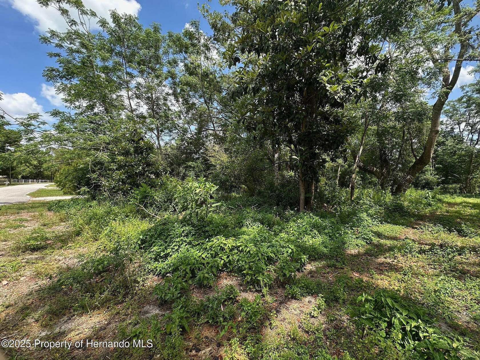 0.5 Acres of Residential Land for Sale in Brooksville, Florida