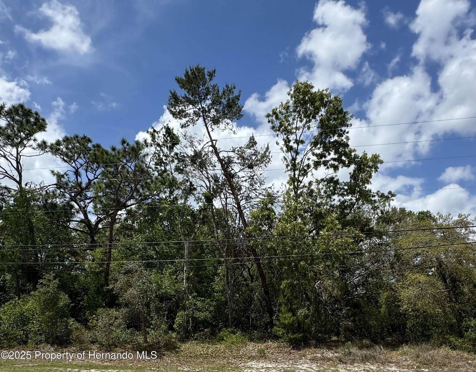 0.4 Acres of Land for Sale in Spring Hill, Florida