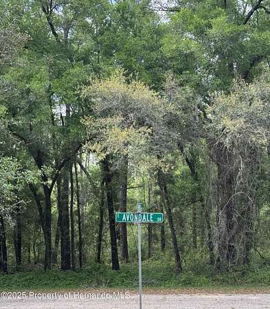 0.24 Acres of Residential Land for Sale in Dunnellon, Florida