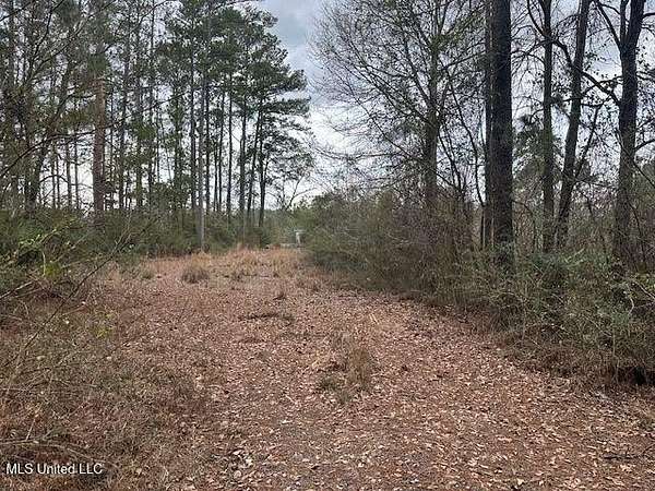 8 Acres of Residential Land for Sale in Hattiesburg, Mississippi