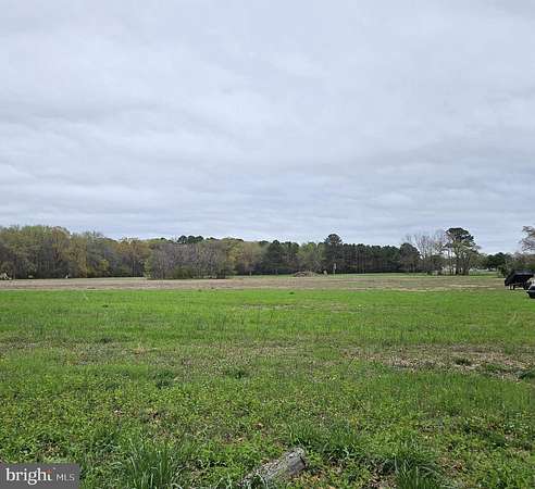 8.68 Acres of Land for Sale in Delmar, Maryland