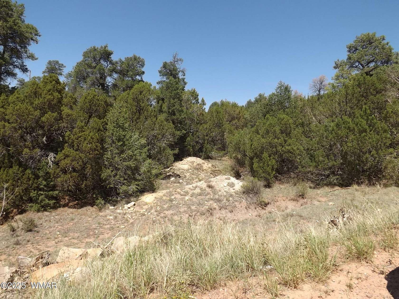 0.3 Acres of Residential Land for Sale in Overgaard, Arizona
