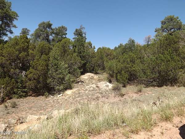 0.3 Acres of Residential Land for Sale in Overgaard, Arizona
