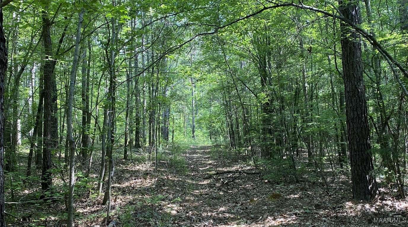 56.5 Acres of Land for Sale in Wetumpka, Alabama